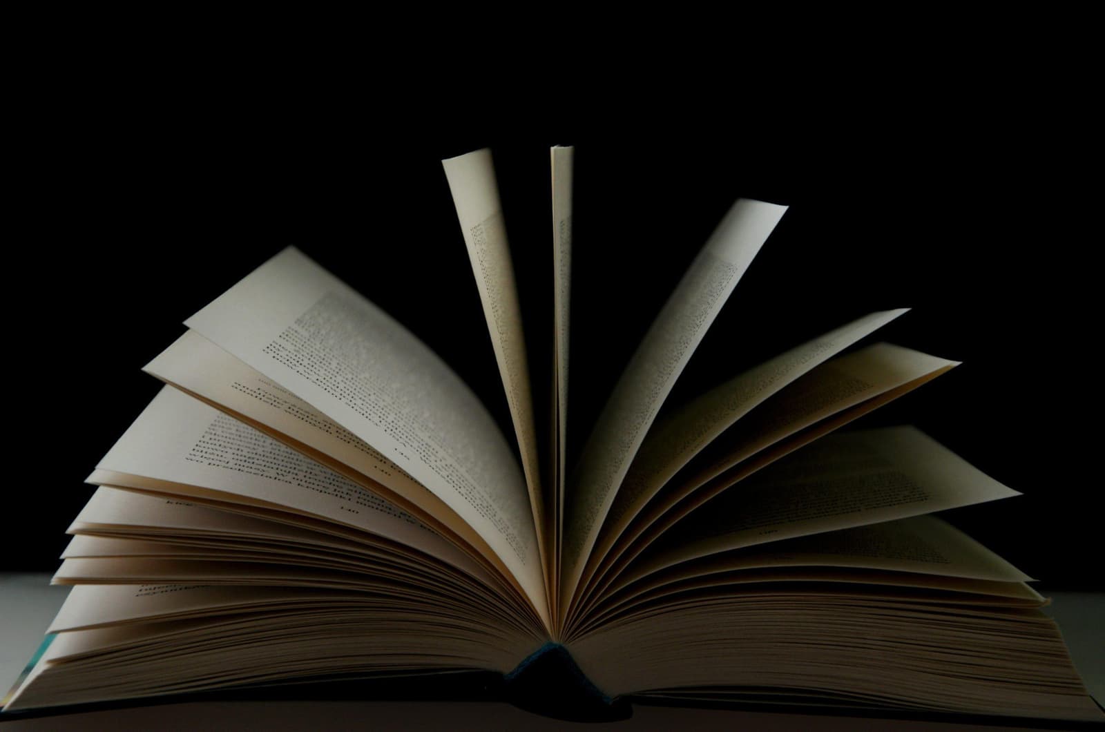 Lectures d’estiu (I)